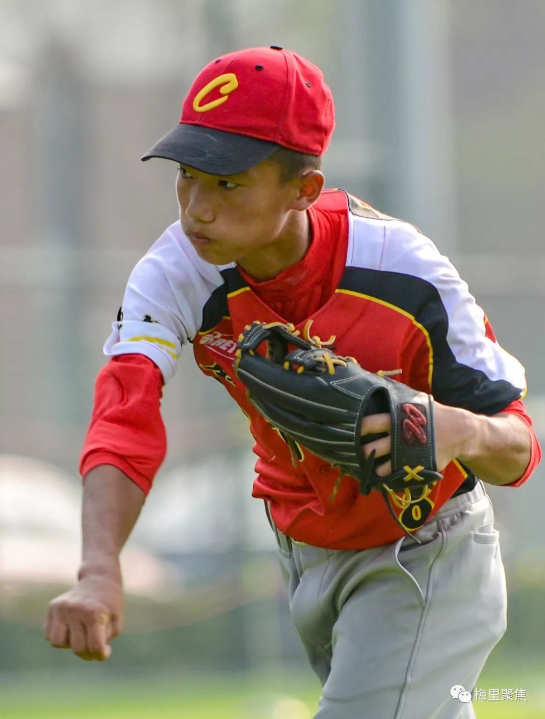 棒球夜战：渝州灰熊队鏖战齐鲁貔貅队，速度优势明显韧性与执行并存的简单介绍九游体育入口