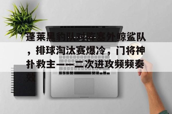 蓬莱黑豹队对阵塞外鲸鲨队，排球淘汰赛爆冷，门将神扑救主——二次进攻频频奏效的简单介绍九游体育app